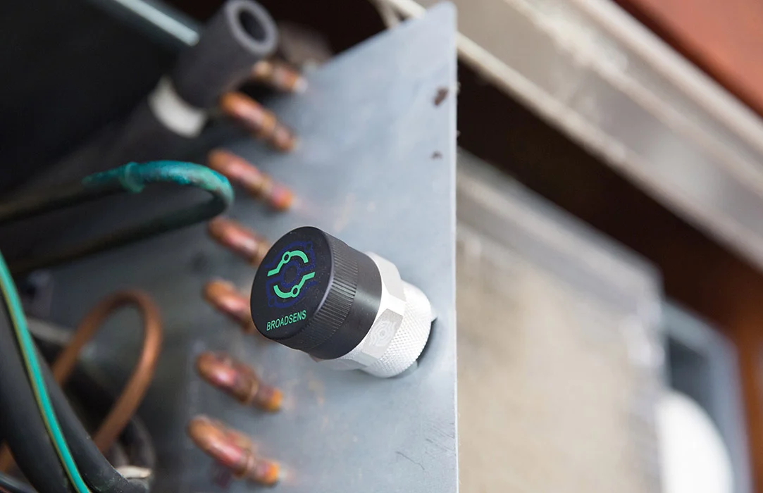 Magnetic mount